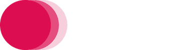 Voixel